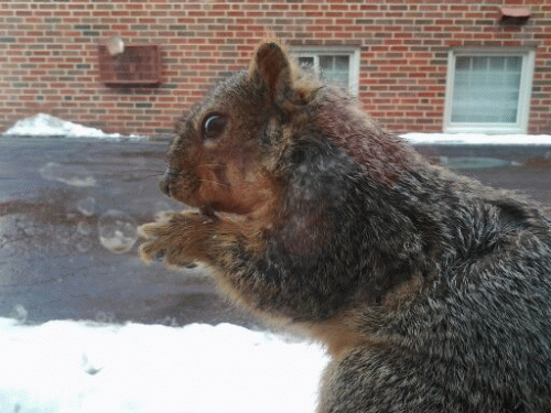 Sloth (USA-2) : Come on In!